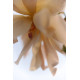 Julia's Rose