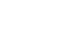 les racines du vent